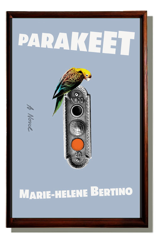 parakeet by Marie-Helene Bertino